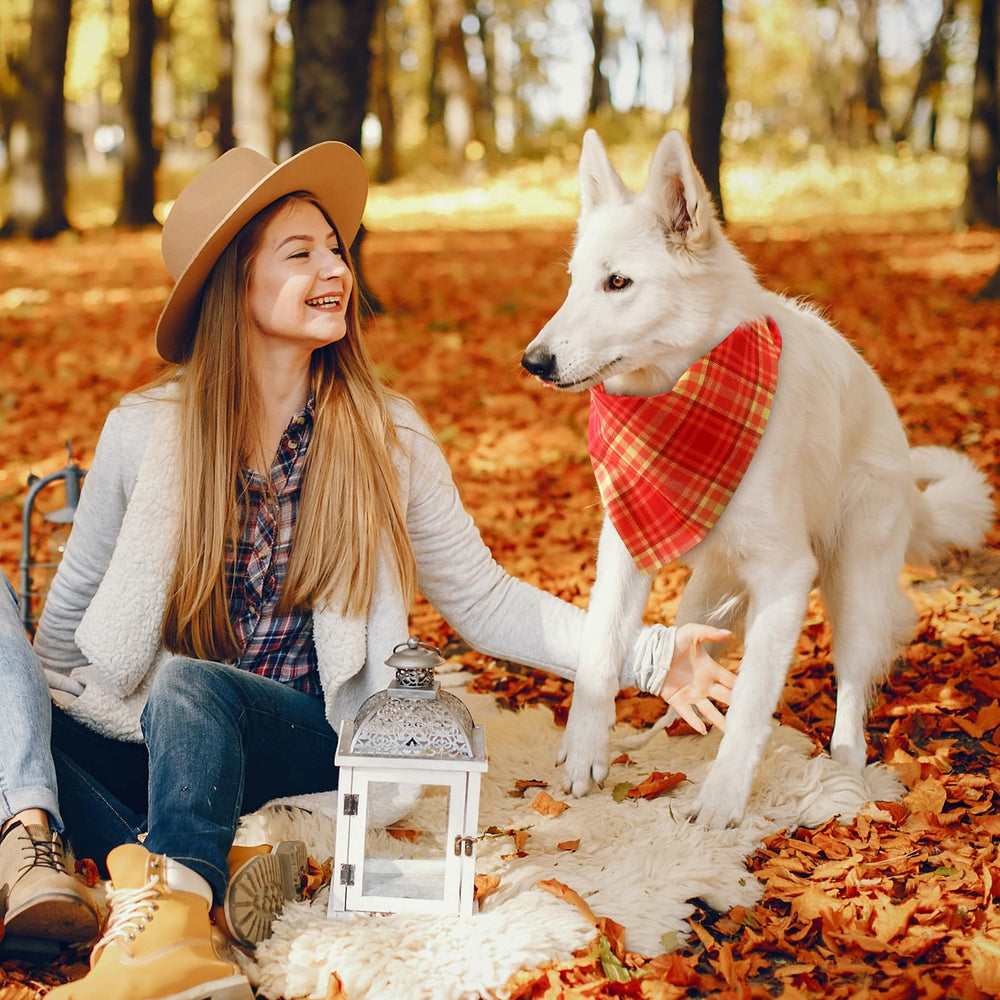 Weewooday bandana en scène festive prêt pour photos de Thanksgiving