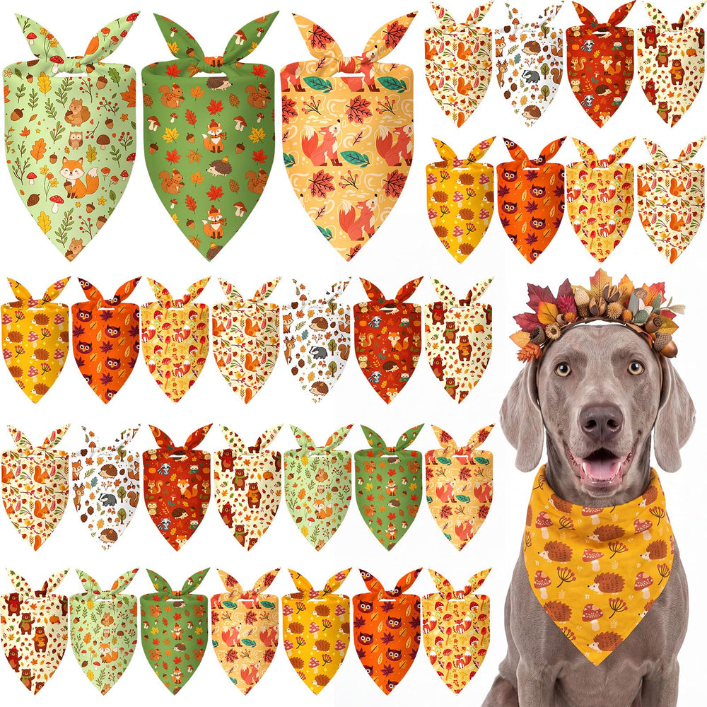 Weewooday emballage avant du lot de 50 bandanas montrant l'assortiment automnal et la quantité