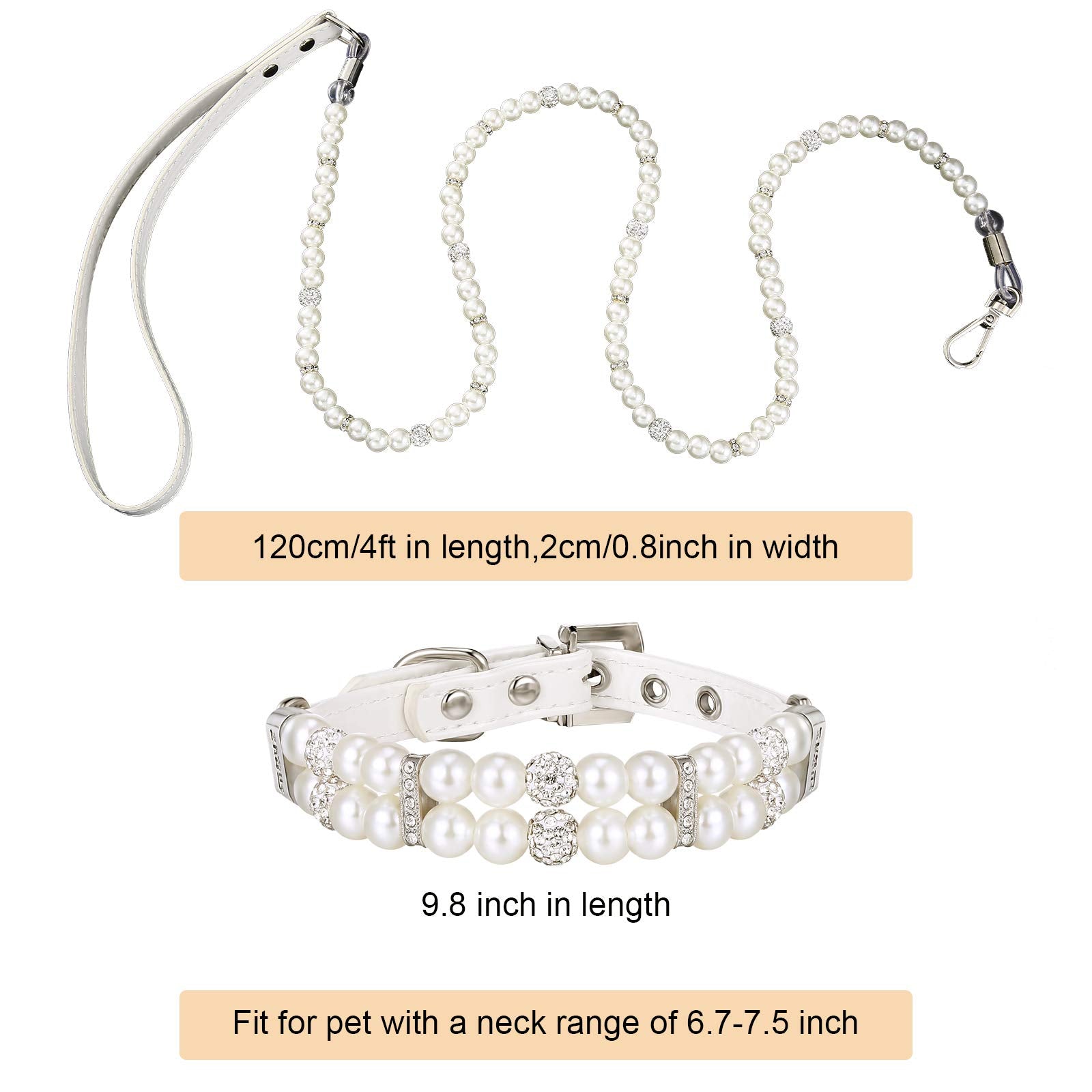 Weewooday collier porté sur chien montrant rendu élégant en situation