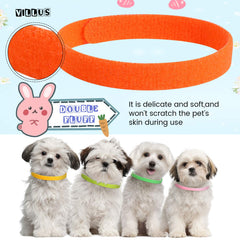 Weewooday collier rouge porté par chiot montrant identification claire
