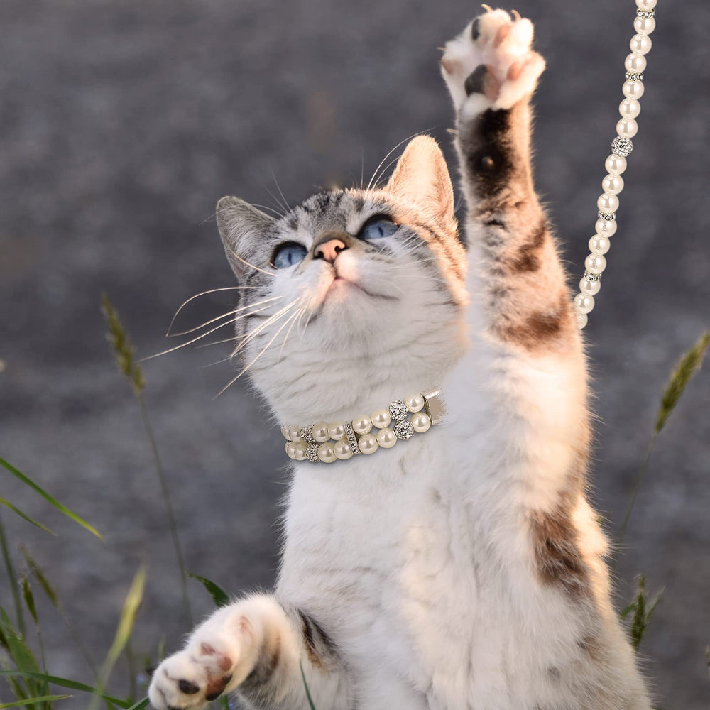 Weewooday laisse perles ensemble complet illustrant coordination stylée