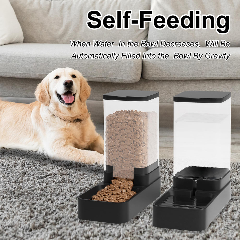 Wefeedy chat utilisant la gamelle, facilitation de l'alimentation quotidienne