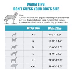 wegreeco bande abdominale portée par petit chien offrant maintien et confort