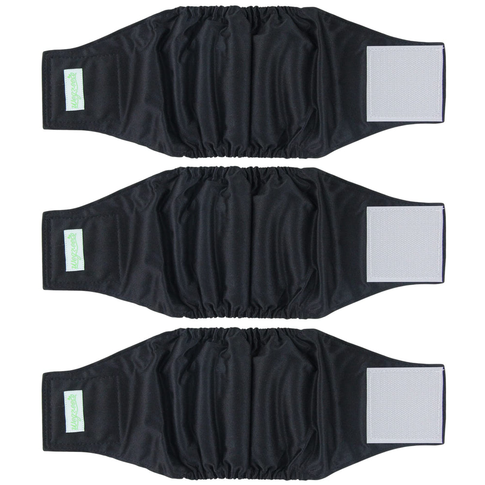 wegreeco face avant de la bande ventrale montrant fermeture et coupe confortable