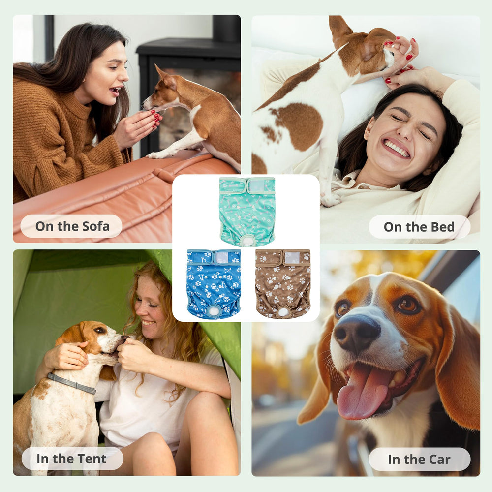 wegreeco chienne portant la couche lavable, hygiène et protection