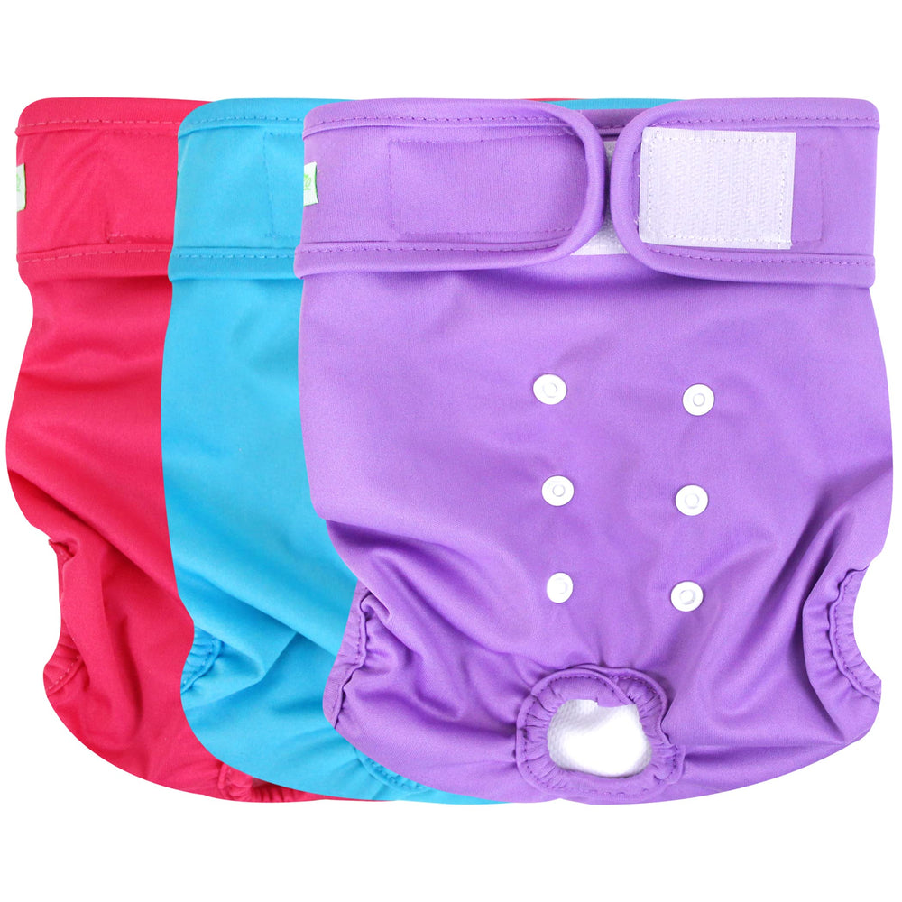 wegreeco culotte féminine vue de face montrant coupe et maintien pour confort