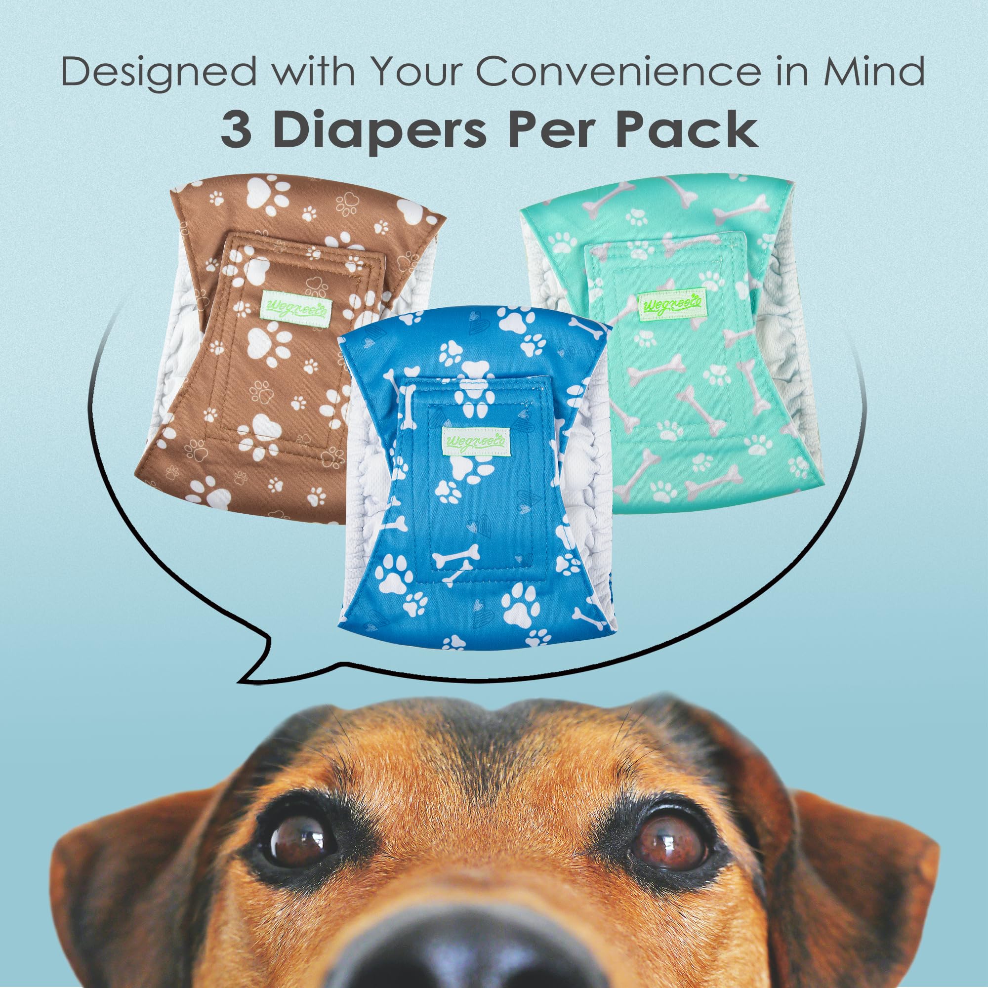 Wegreeco gros plan jersey intérieur doux, confort prolongé pour chien
