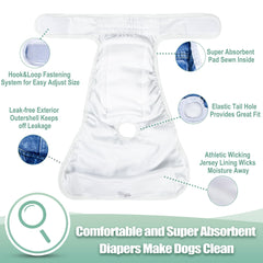wegreeco culotte portée par chienne protégeant canapé et sol