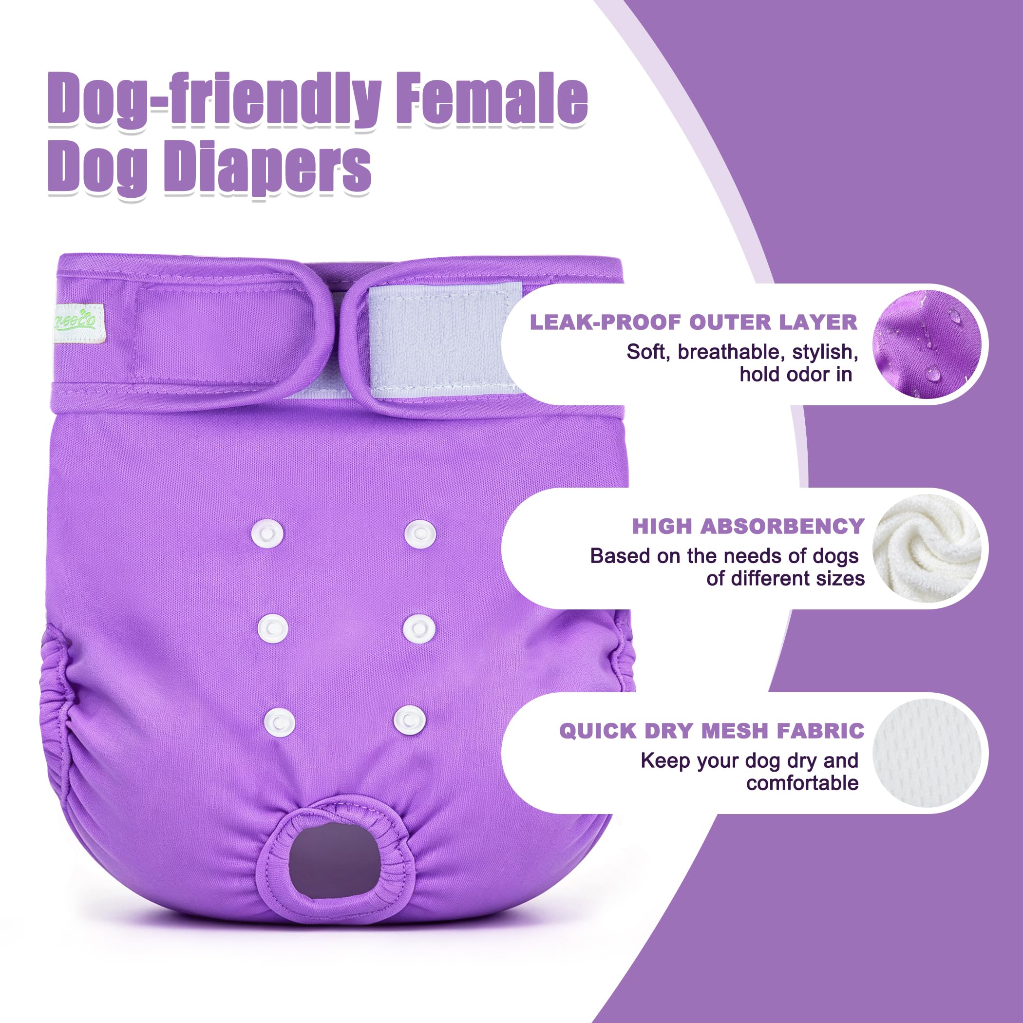 wegreeco culotte portée par chienne démontrant protection et ajustement sûr
