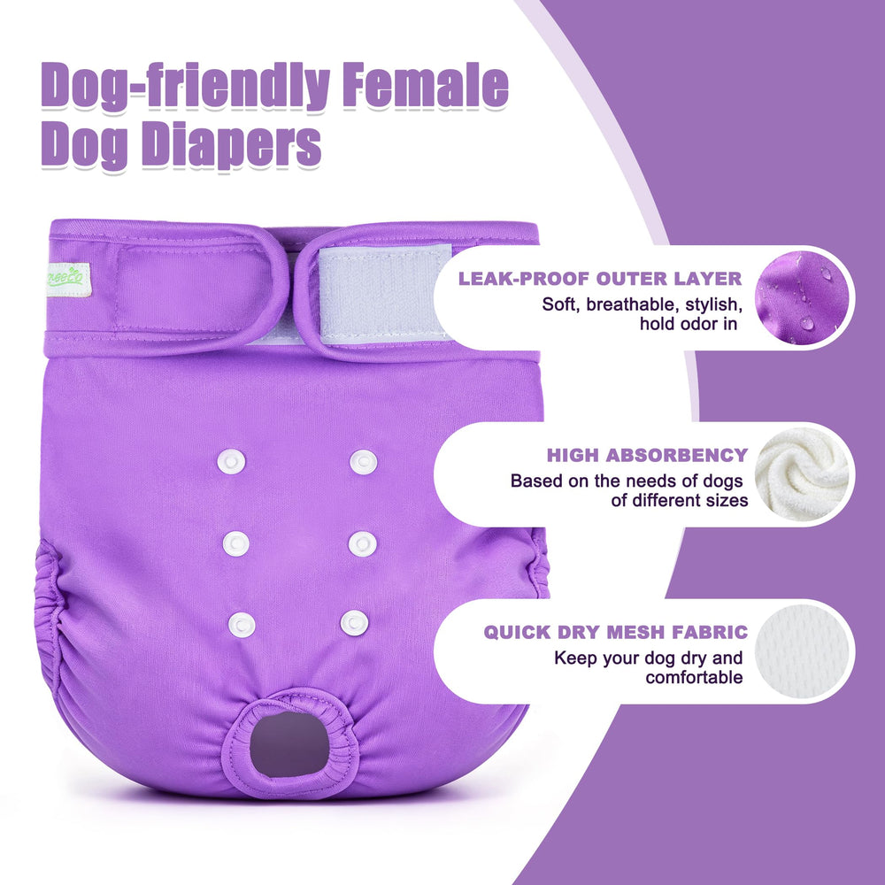 wegreeco culotte portée par chienne démontrant protection et ajustement sûr