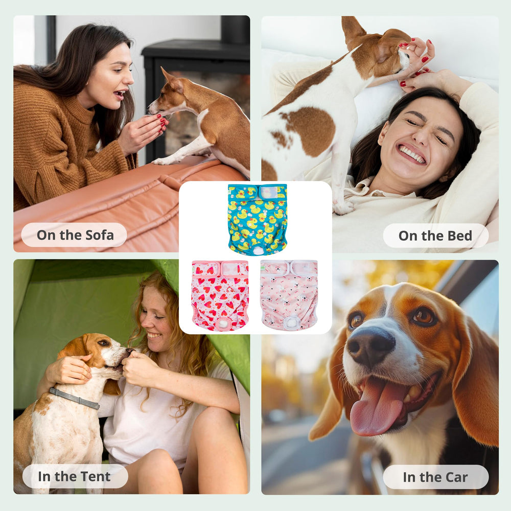 wegreeco packaging montrant trois motifs, esthétique réutilisable
