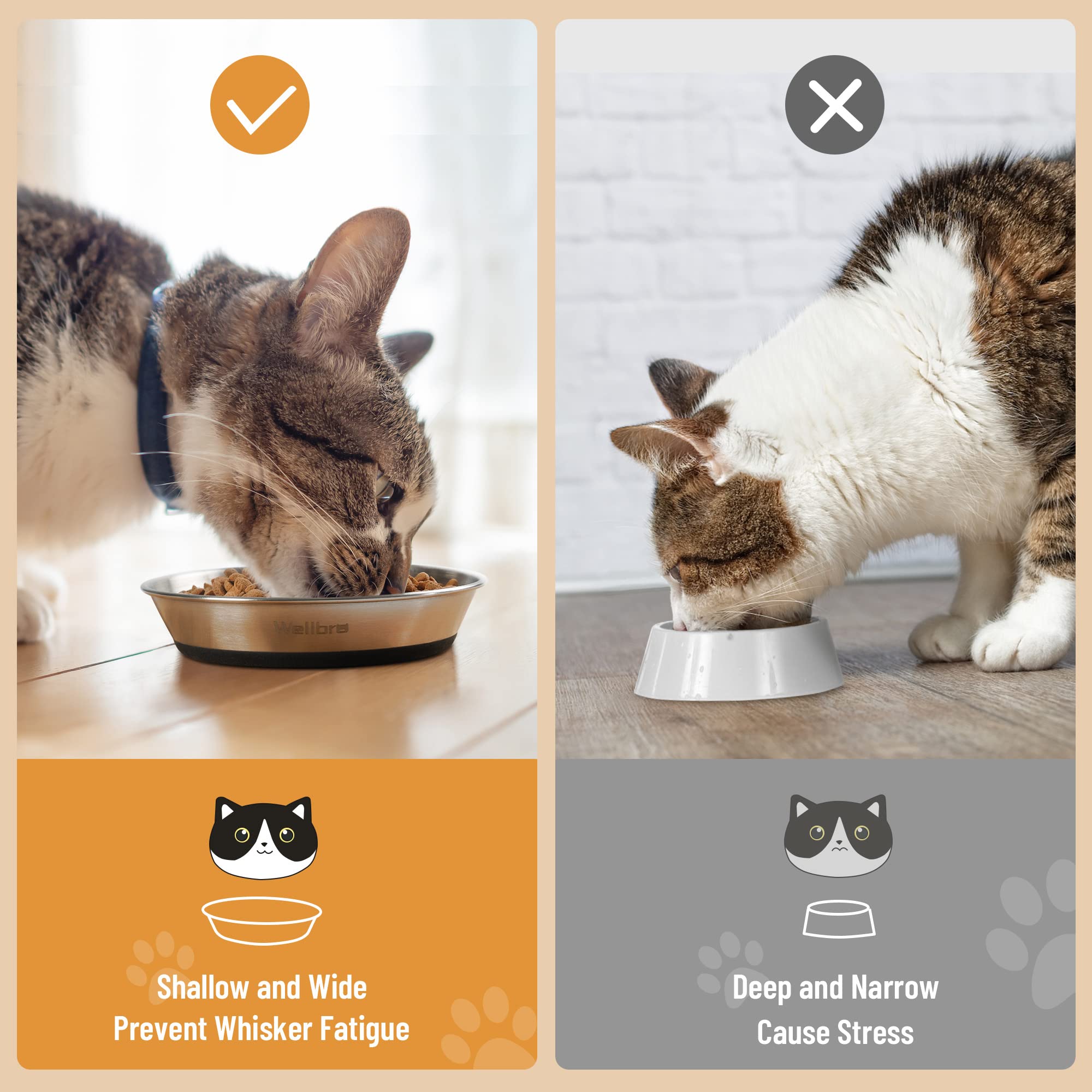 Wellbro fond silicone antidérapant en détail offrant stabilité au repas
