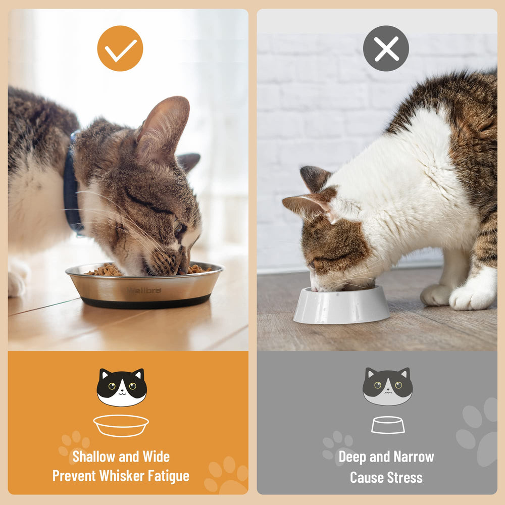 Wellbro fond silicone antidérapant en détail offrant stabilité au repas
