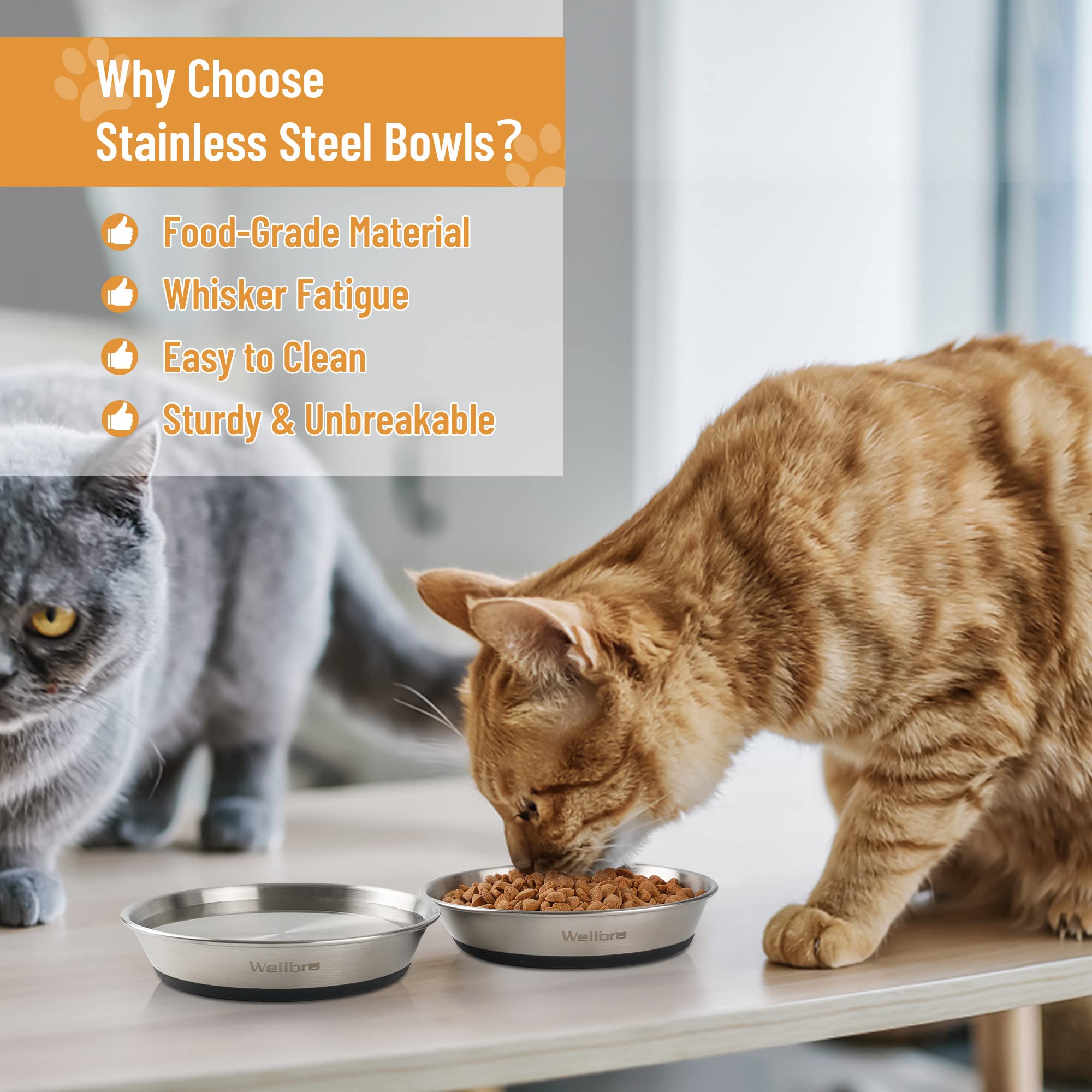 Wellbro gamelle utilisée par un chat, encourage prise alimentaire sans stress