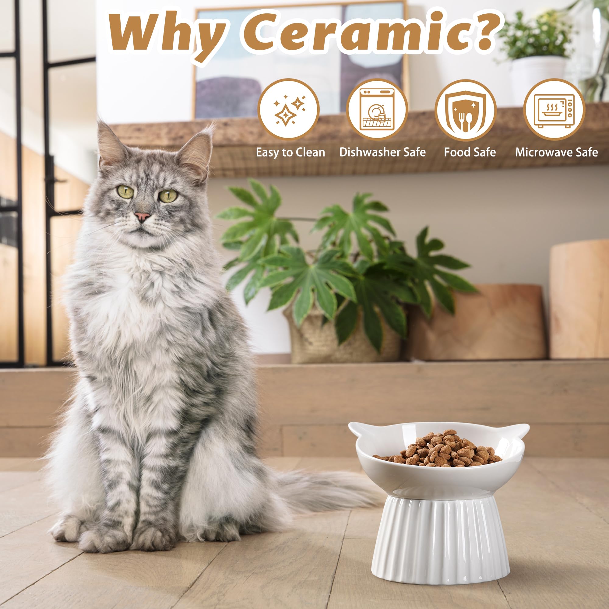 Wellbro étiquette matériau porcelaine sans plomb sécurité alimentaire