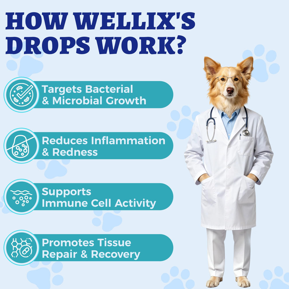 Wellix administration pour chat mélange alimentaire simple et sûr