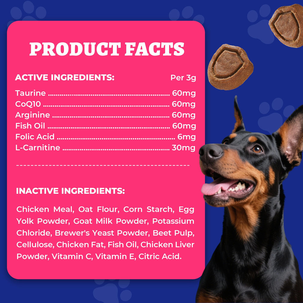 Wellix dans niche style vie montrant chien consommant et meilleure vitalité