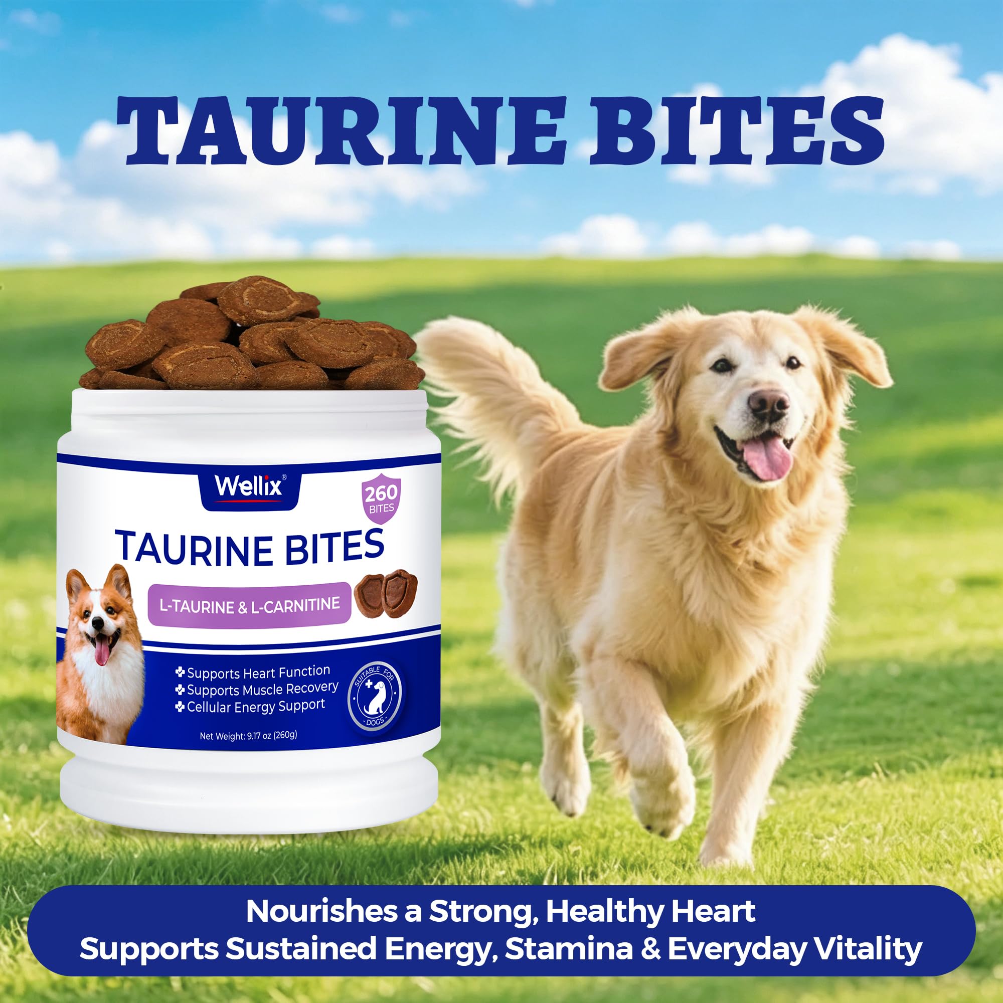 Chien heureux mangeant Wellix en environnement domestique pour vitalité
