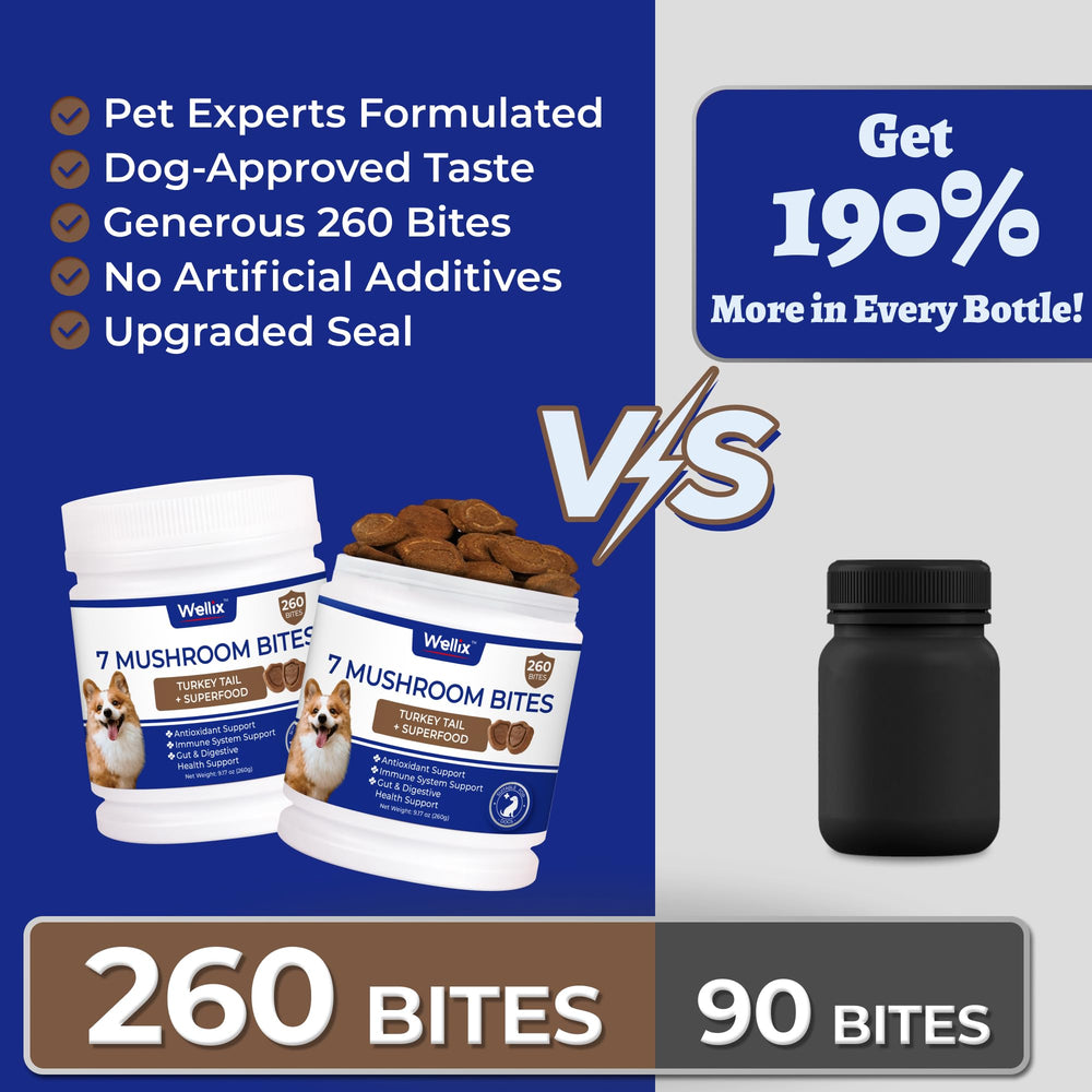 Comparaison de taille Wellix avec chien, pratique pour dosage visuel