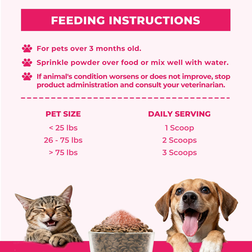 Chien acceptant Wellix Cranberry Powder mélangé à sa nourriture, soutien urinaire