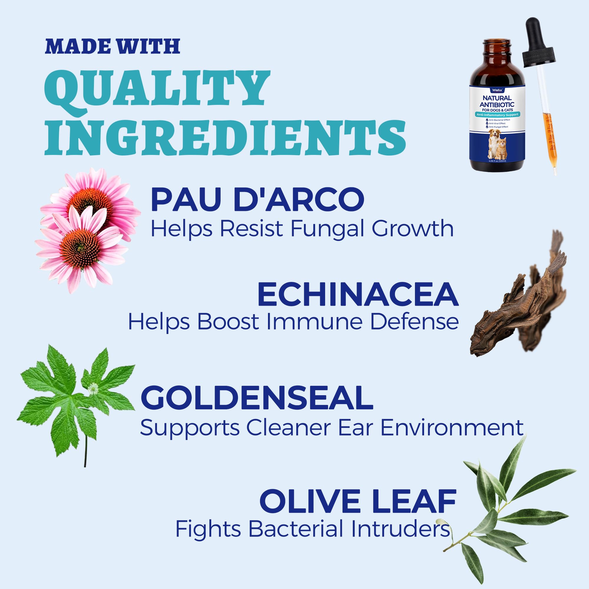 Wellix pau d'arco extrait naturel soutient la peau et les muqueuses