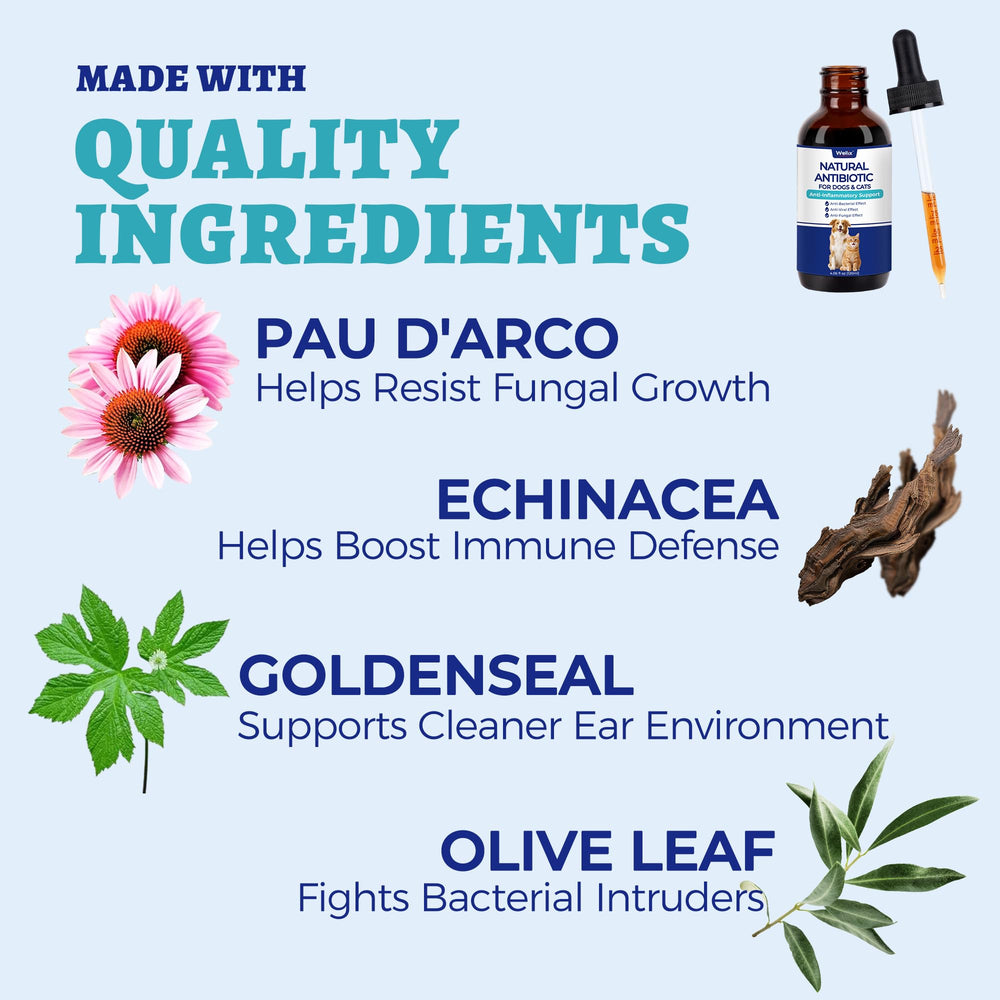 Wellix pau d'arco extrait naturel soutient la peau et les muqueuses