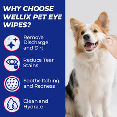 Wellix lingette en usage sur chien apportant nettoyage sans irritation