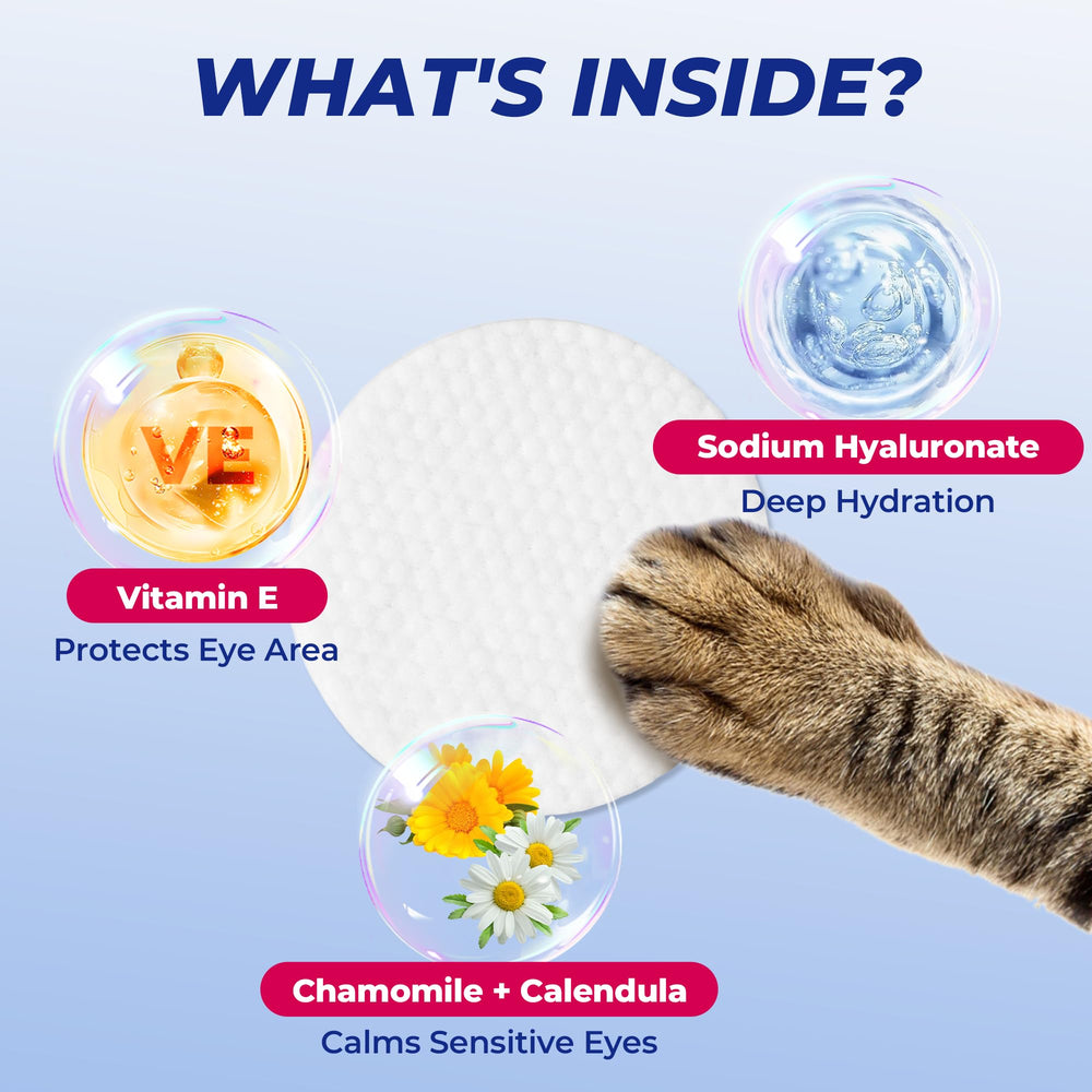 Wellix lingette nettoyant délicatement autour des yeux du chat