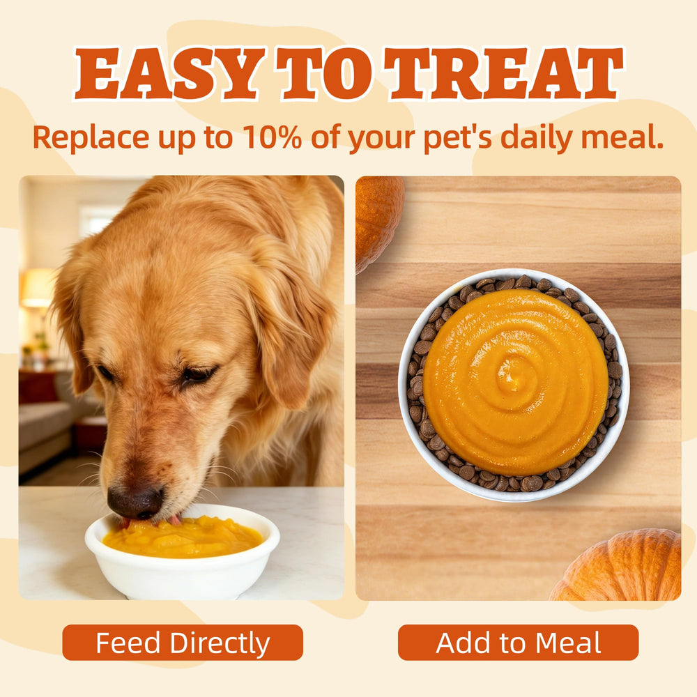 Wellix purée placée devant un chien, aide à donner des friandises saines