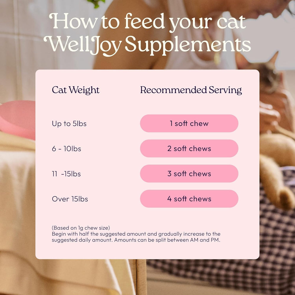 Chat acceptant une bouchée WellJoy mettant en avant la palatabilité poulet