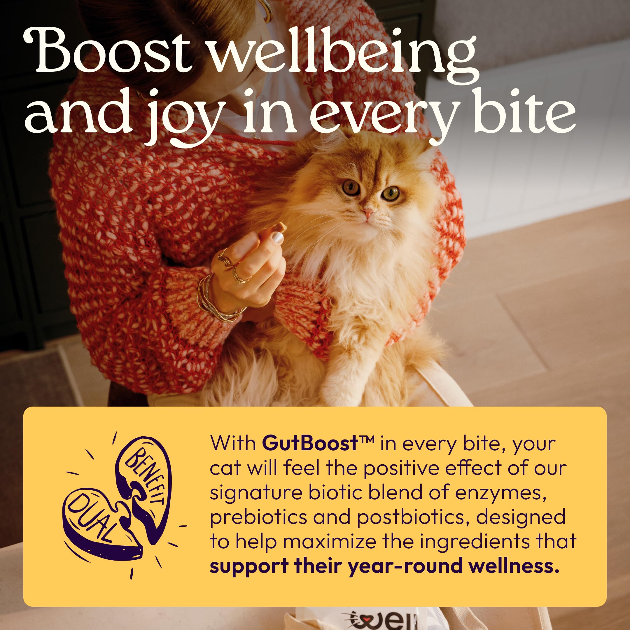 WellJoy étiquette montrant ingrédients clés pour transparence et confiance des propriétaires