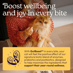 WellJoy étiquette montrant ingrédients clés pour transparence et confiance des propriétaires