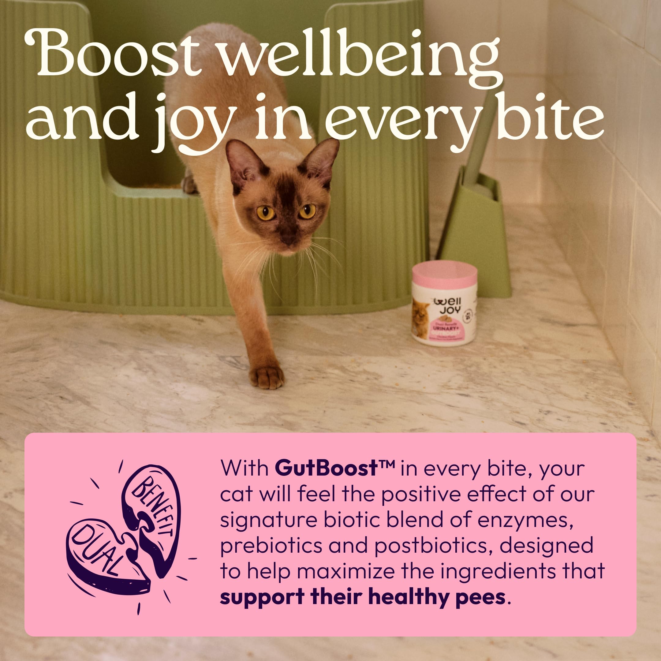 Étiquette WellJoy détaillant D‑Mannose, canneberge et GutBoost pour transparence