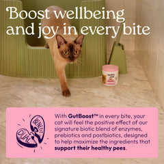Étiquette WellJoy détaillant D‑Mannose, canneberge et GutBoost pour transparence