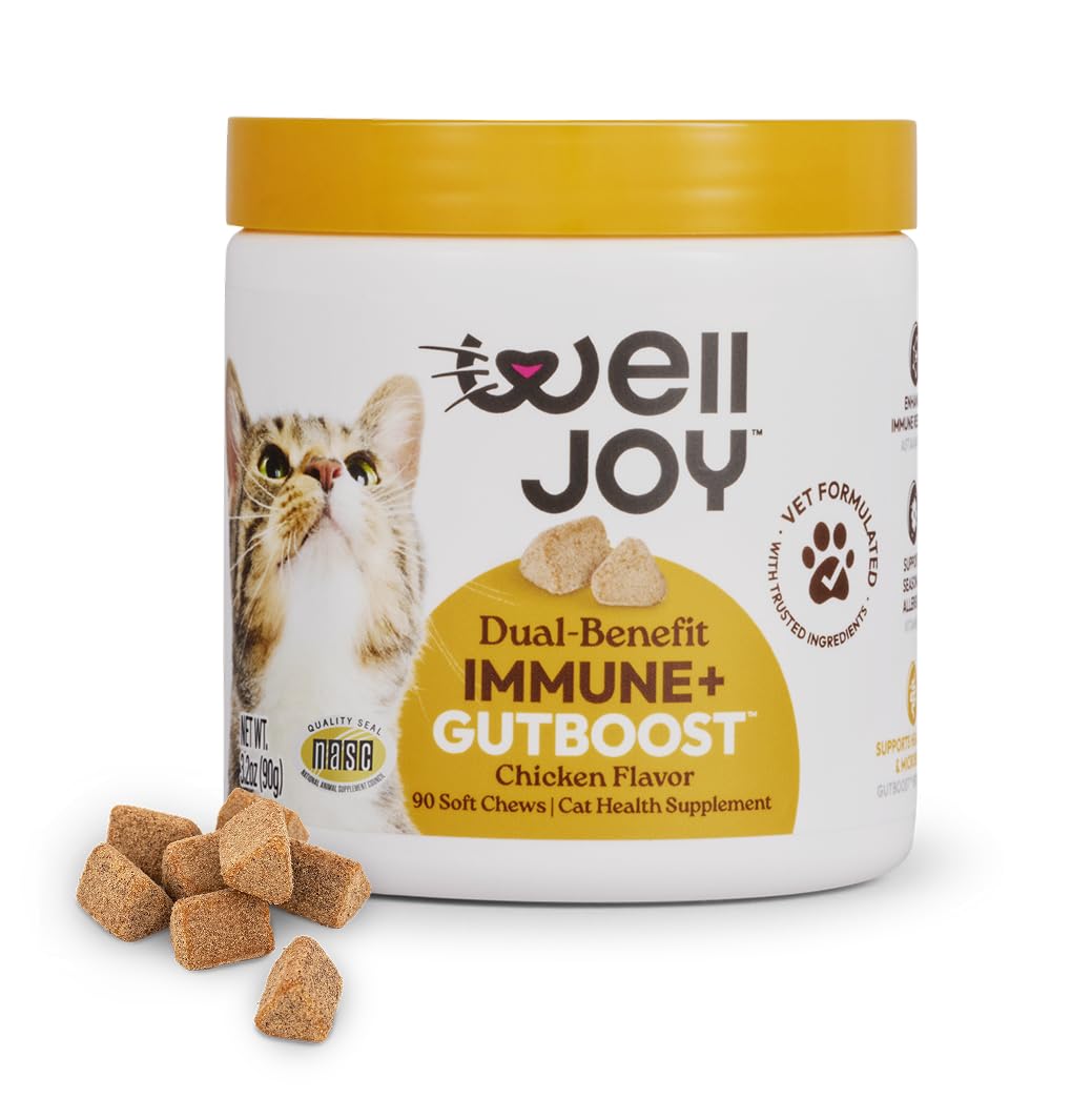 WellJoy pot avant contenant 90 bouchées pour administration quotidienne et conservation pratique