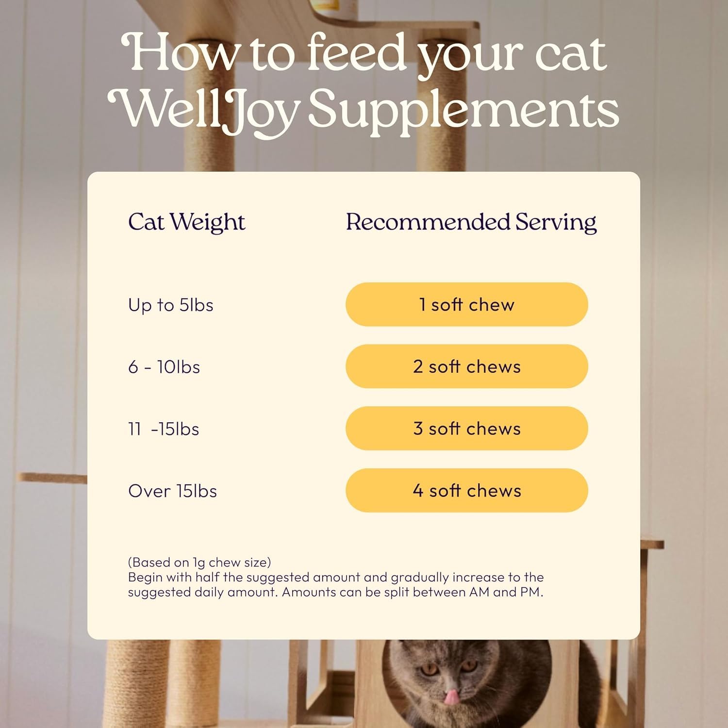 WellJoy illustration des ingrédients vétérinaires pour expliquer formulation GutBoost