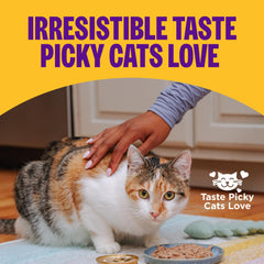 Wellness pack de 24 boîtes empilées, praticité pour approvisionnement