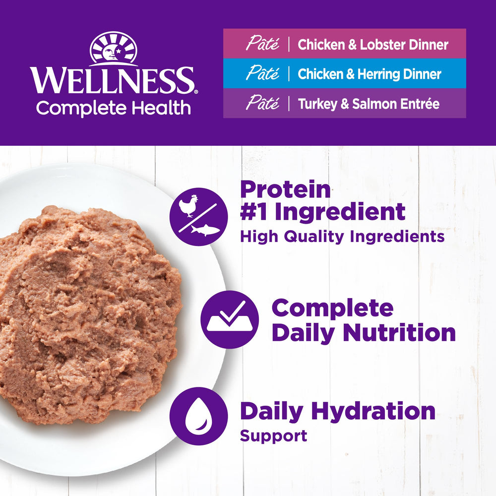 Wellness boîte ouverte avec pâté appétent et bénéfice hydratation