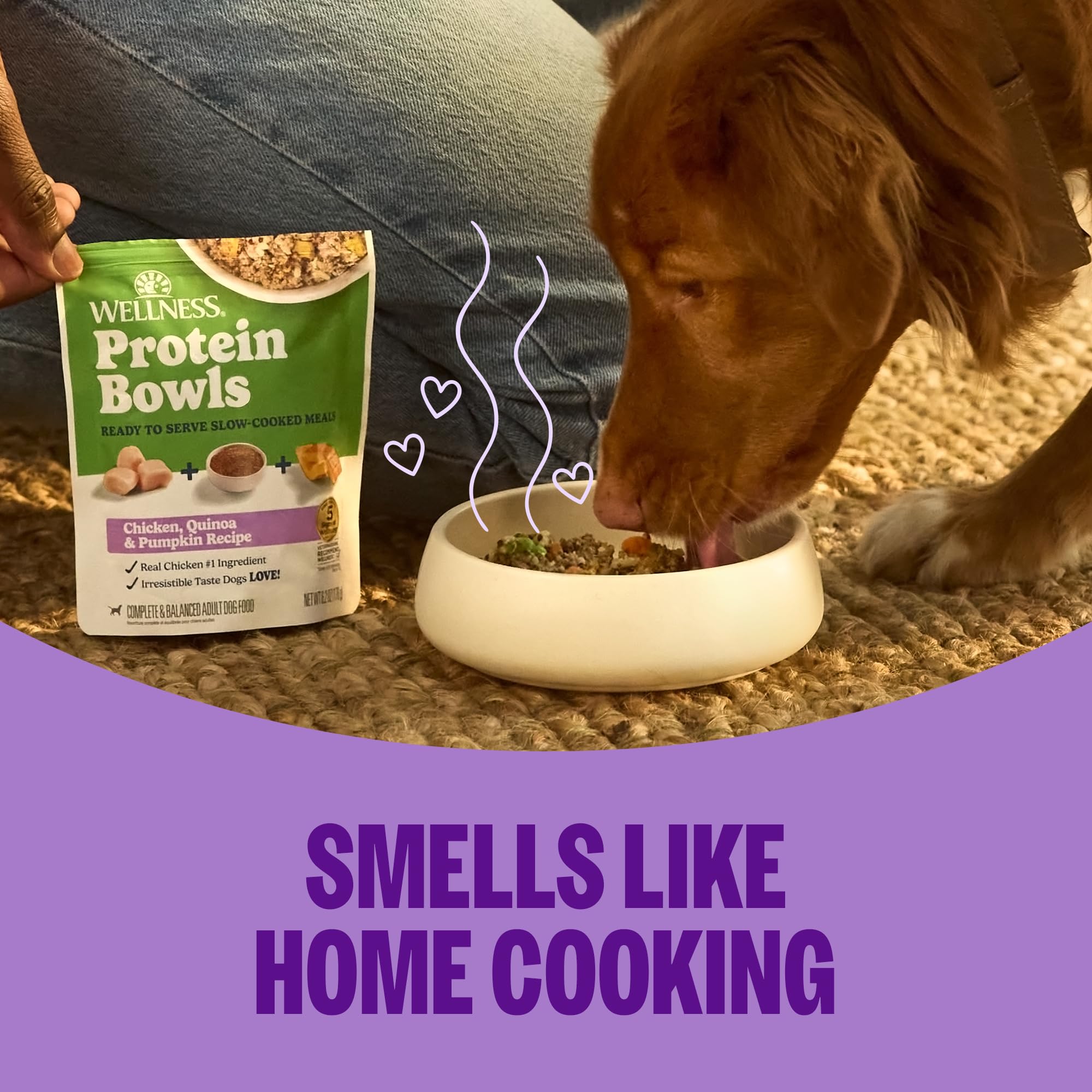 Wellness chien dégustant le repas scène de cuisine favorisant plaisir