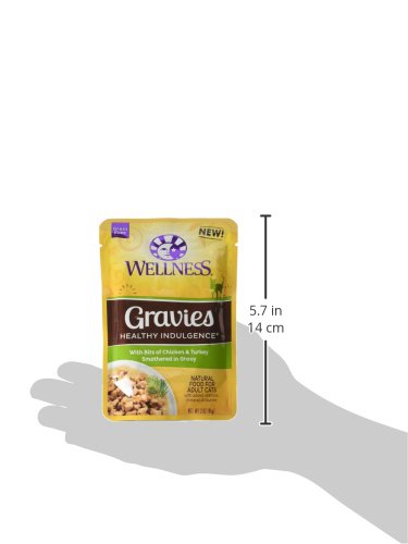 Wellness bol avec morceaux en sauce appétissants montrant hydratation et texture