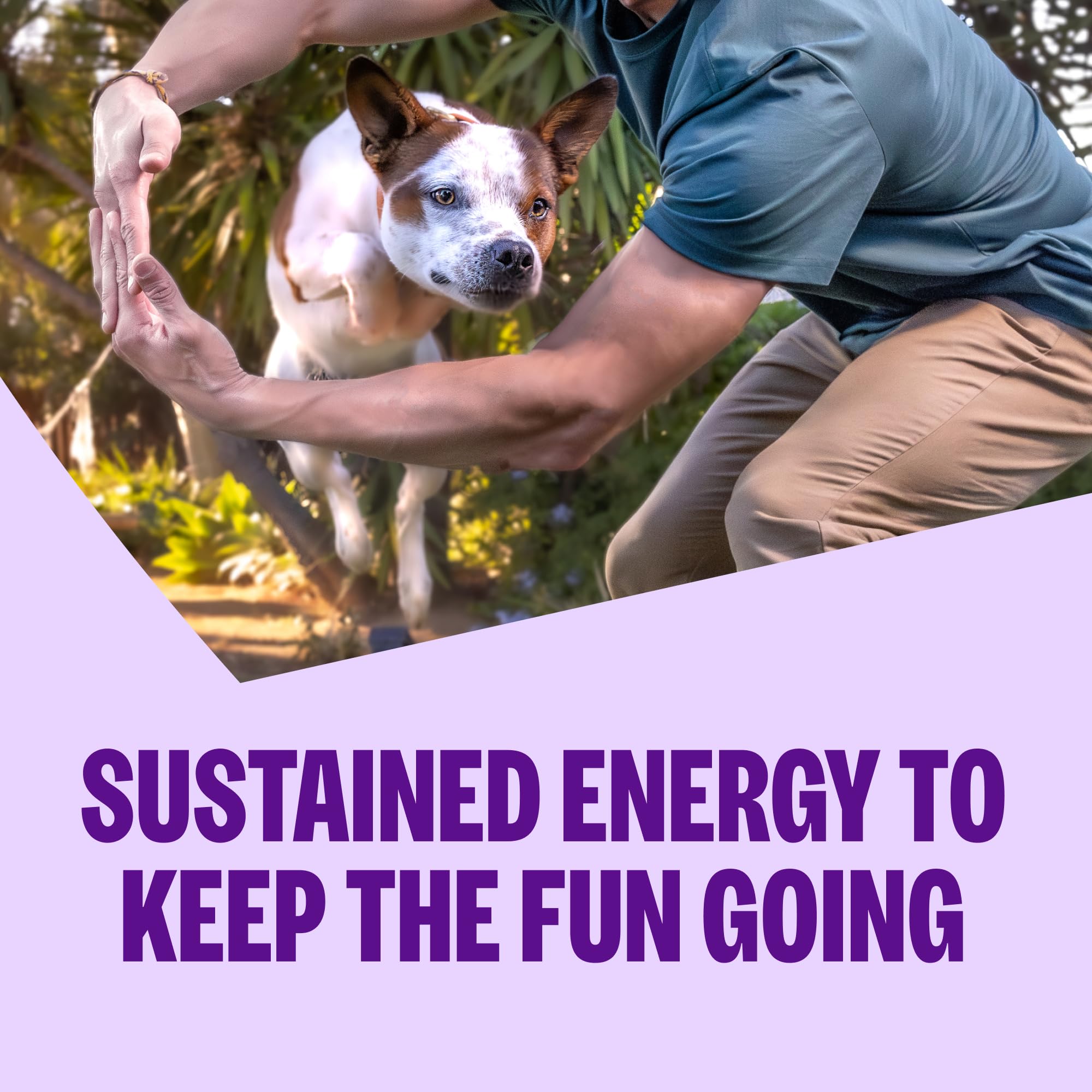 Wellness chiot mangeant dans récipient montre appétence et énergie