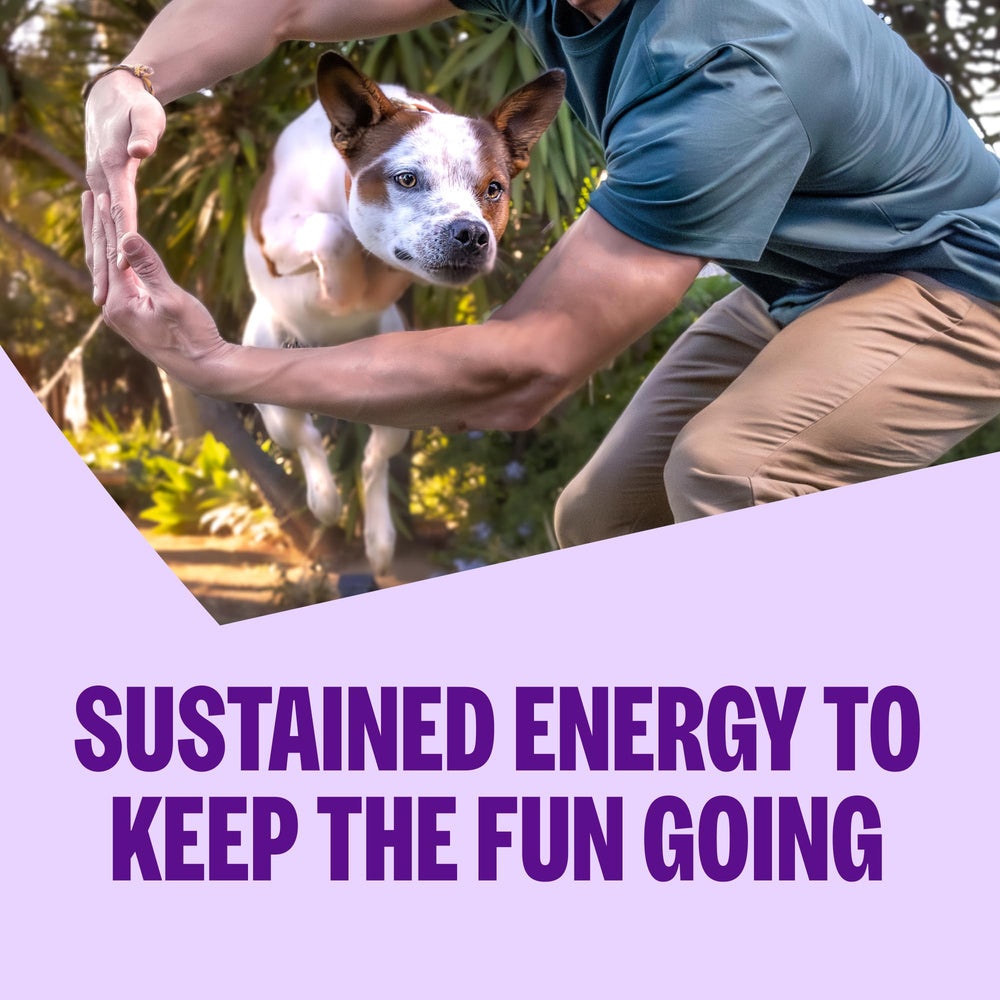 Wellness chiot mangeant dans récipient montre appétence et énergie