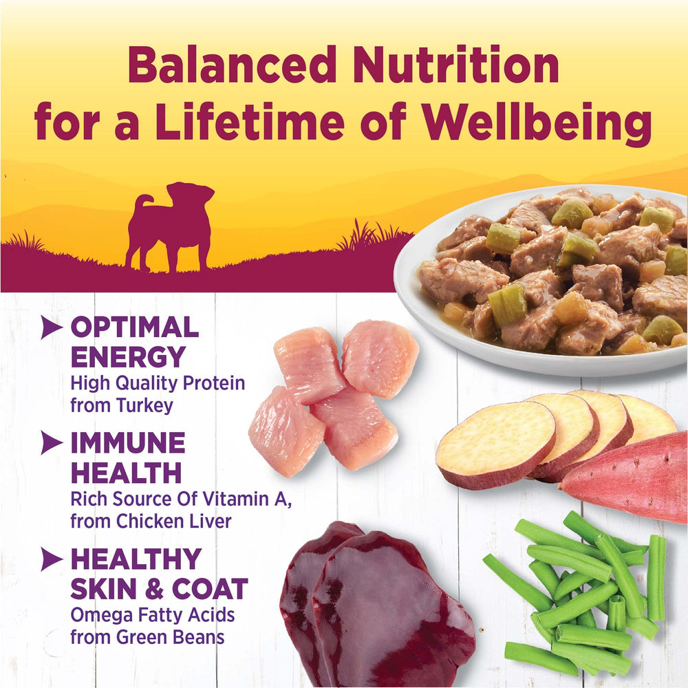 Wellness gros plan sur filets de dinde montrant tendreté et appétence