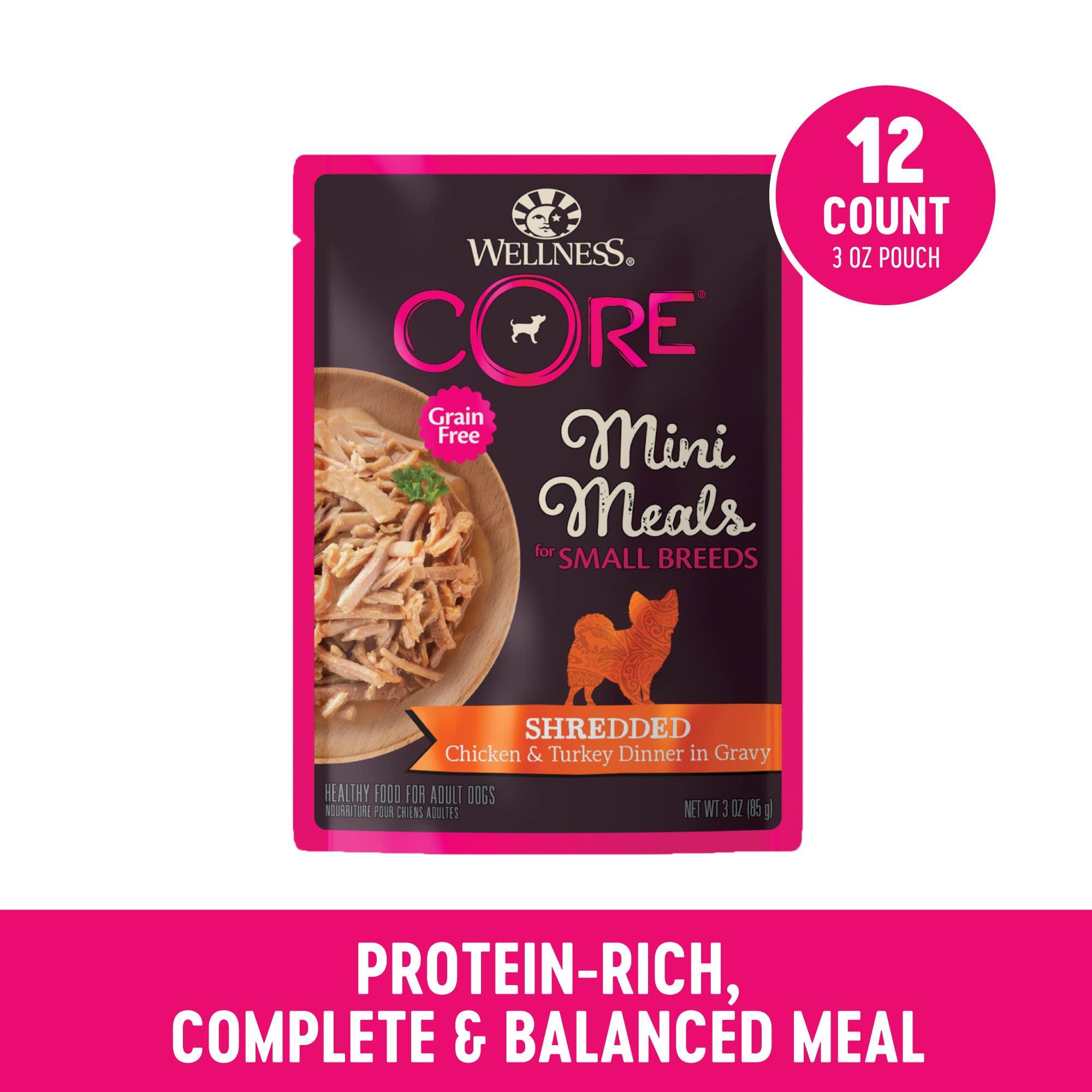 Wellness assiette montrant morceaux effilochés poulet et dinde appétissants