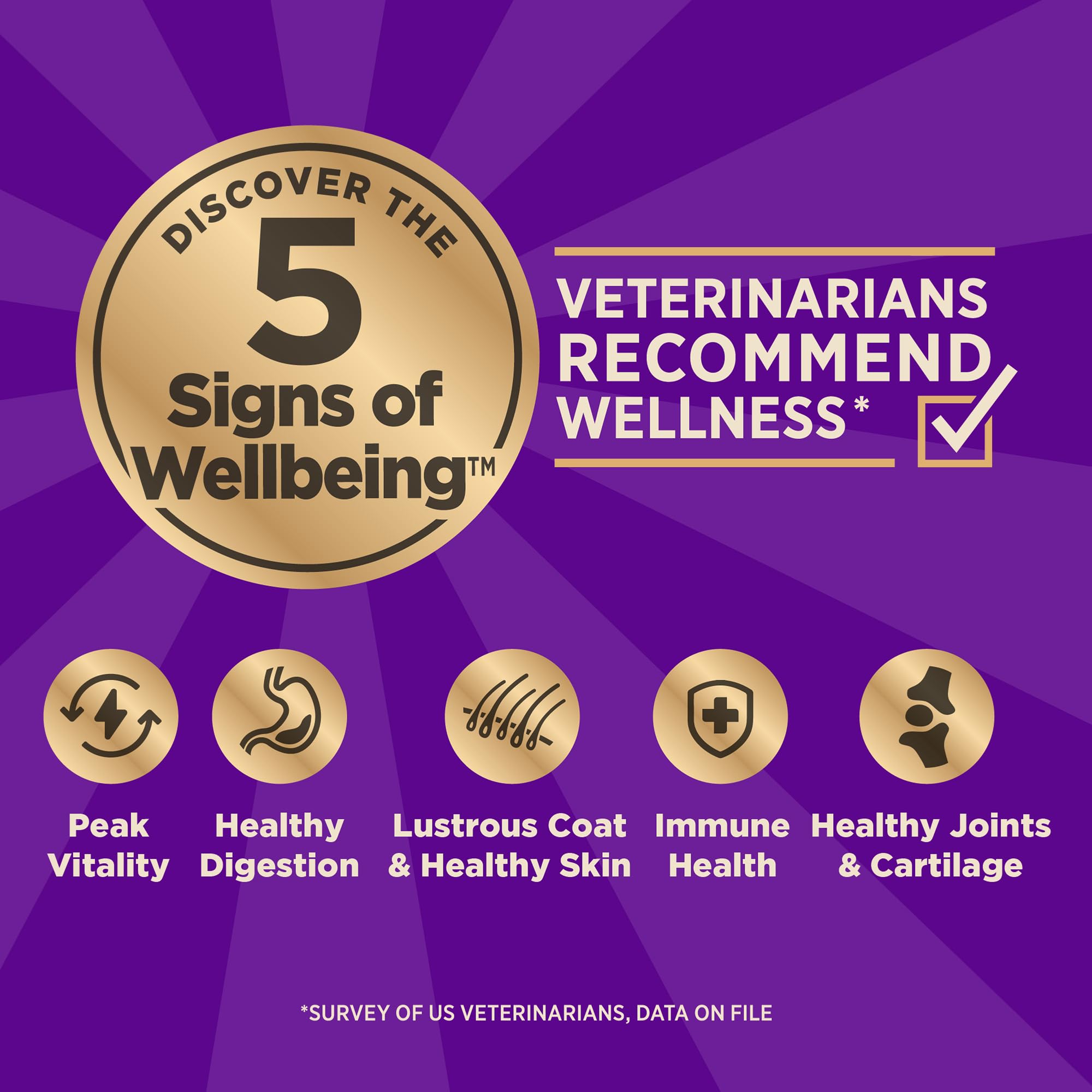 Wellness CORE chien mange dans une gamelle illustrant acceptation gustative