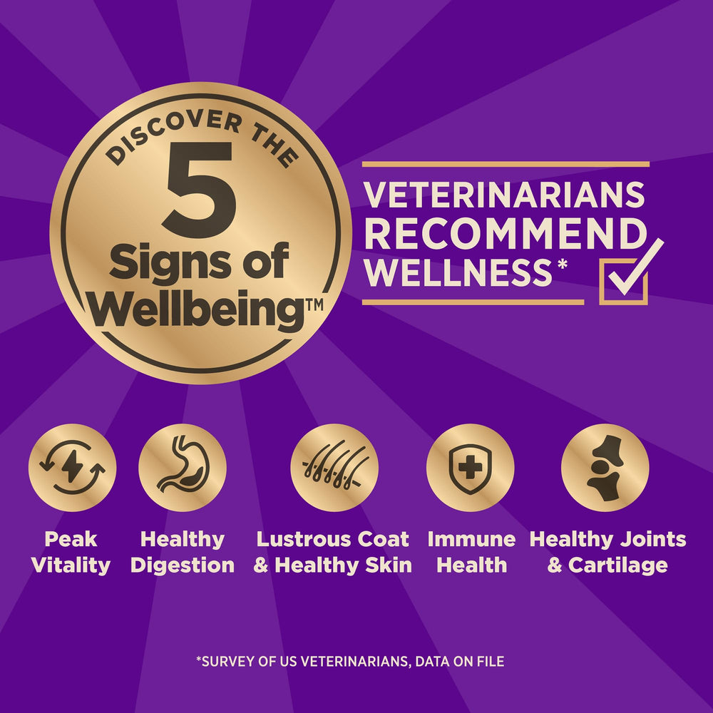 Wellness CORE chien mange dans une gamelle illustrant acceptation gustative