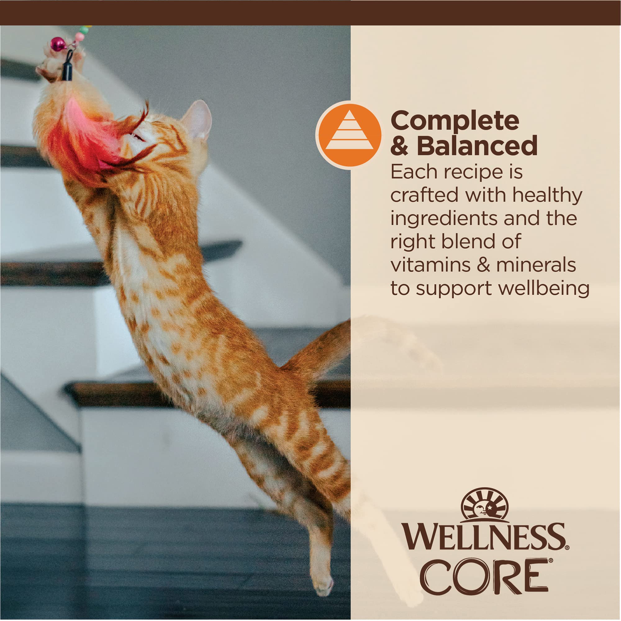 Wellness CORE comparaison taille sachet à côté d'une main, portion contrôlée