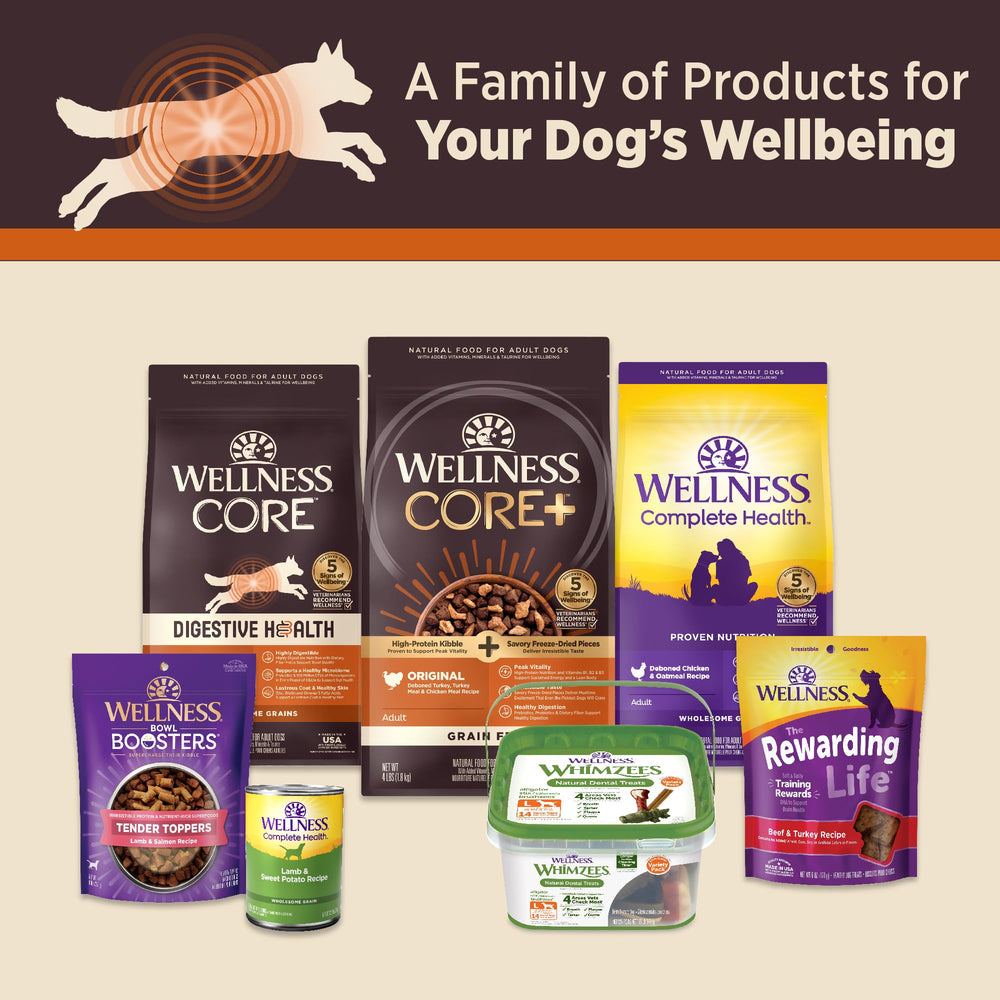 Wellness chien dégustant la pâté, favorise appétit et confort digestif