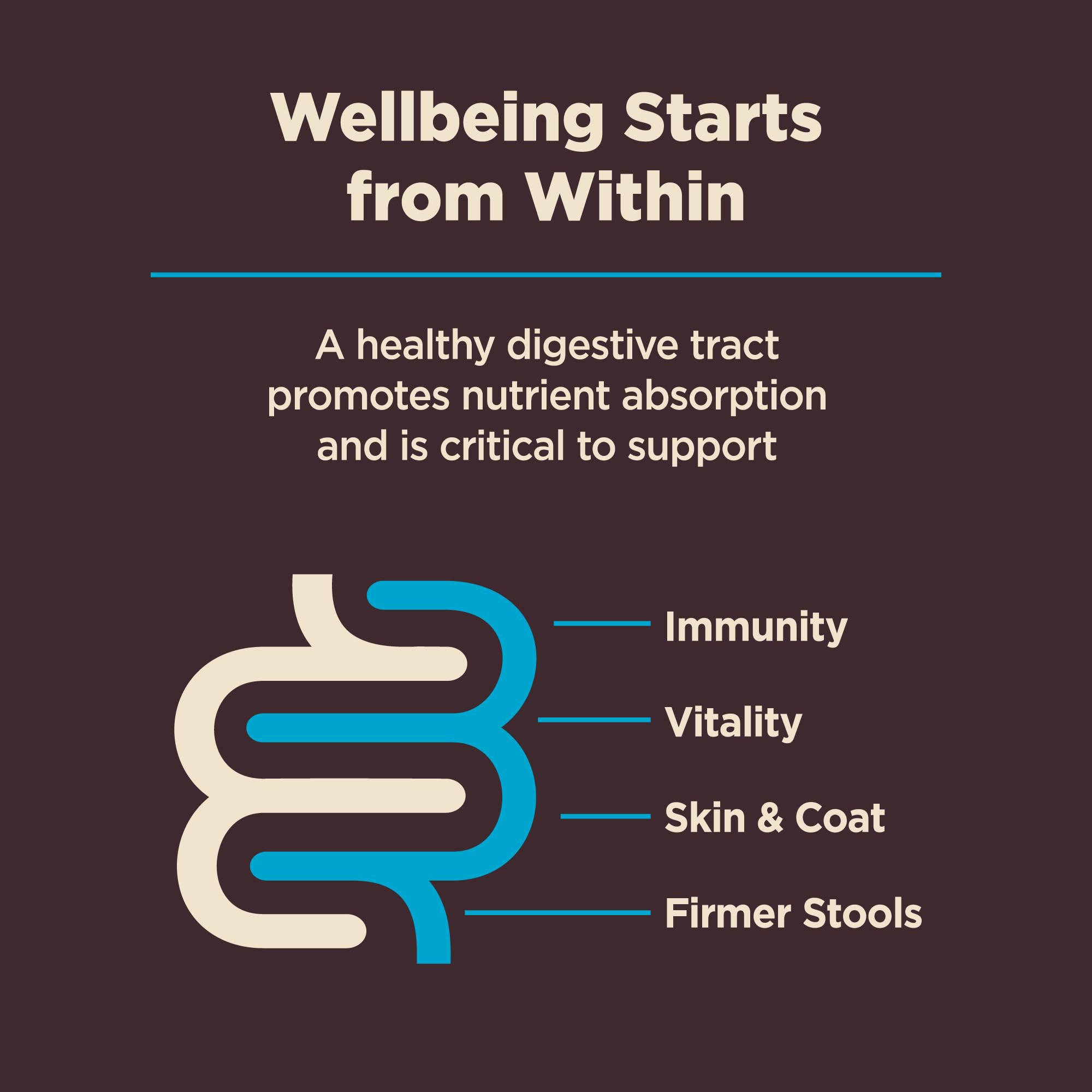 Wellness chien adulte mangeant la recette Whitefish, favorise confort digestif