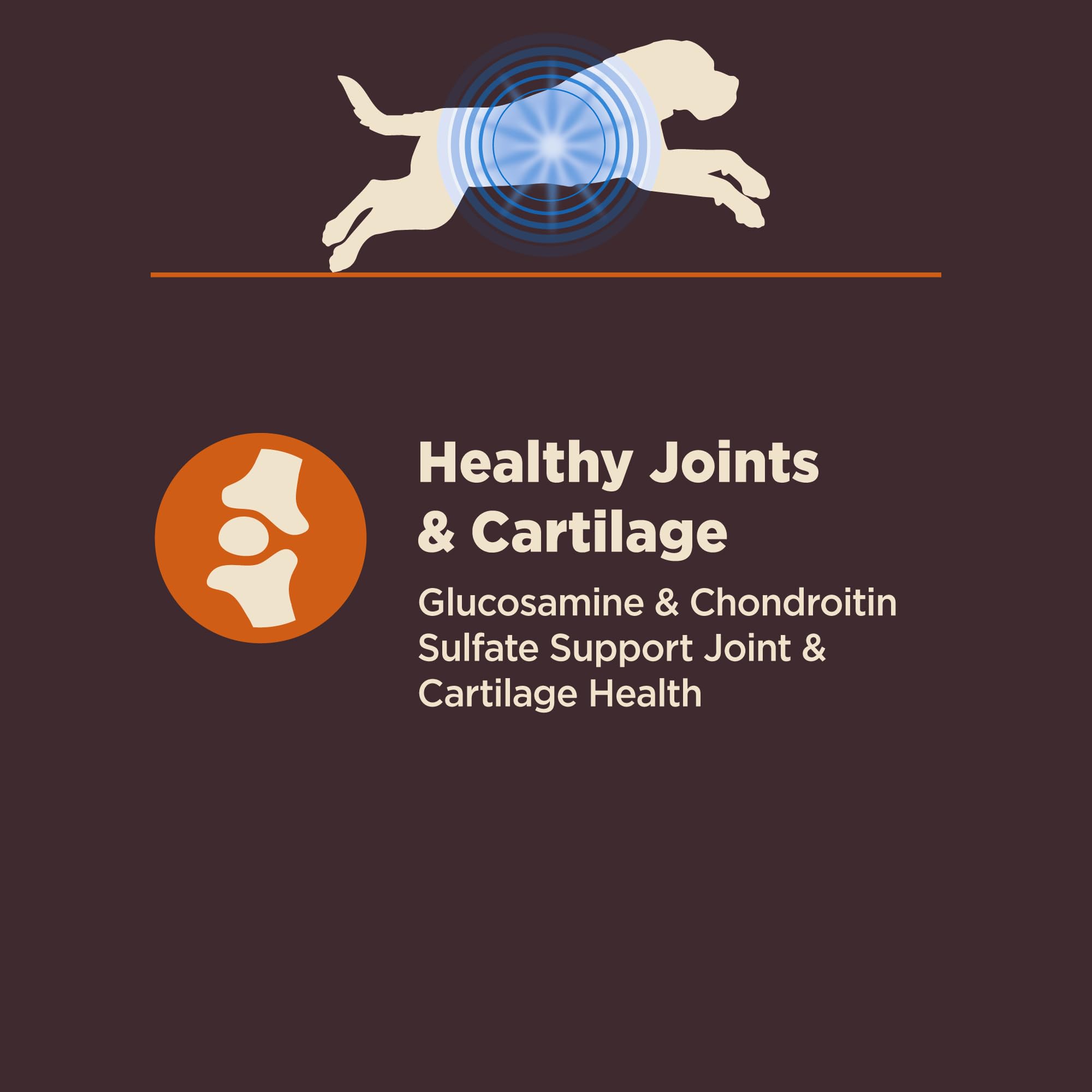 Wellness étiquette nutritionnelle détaillée montrant probiotiques garantis